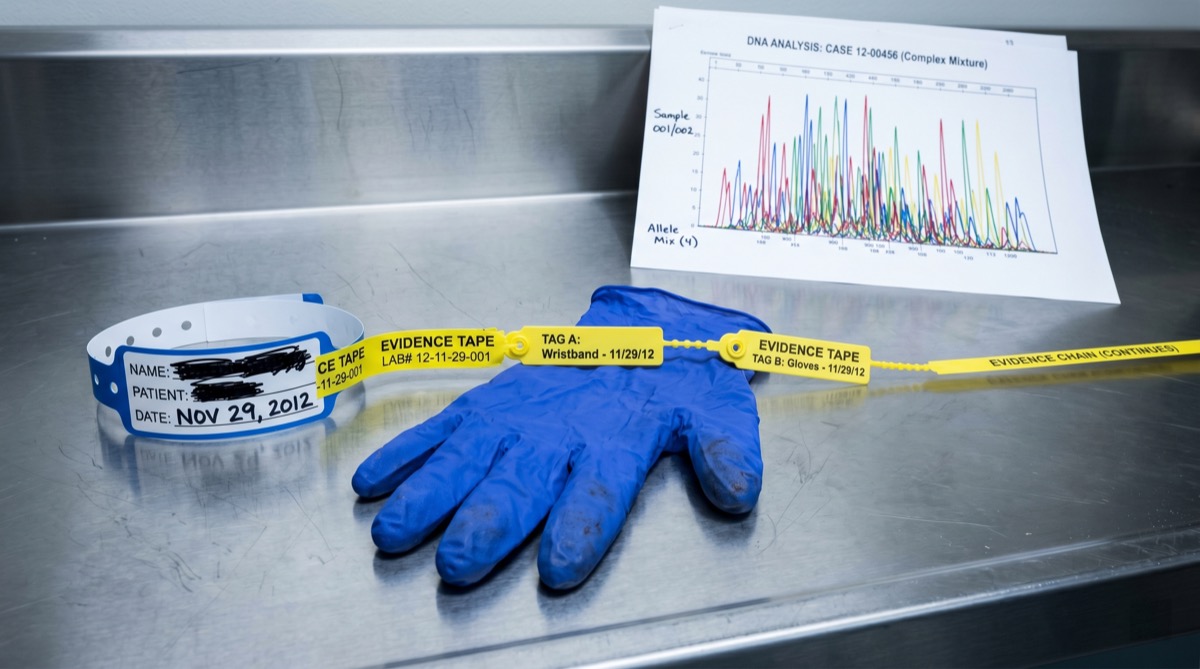 A hospital wristband and a pair of paramedic gloves on a stainless steel surface, a chain of evidence tags connecting them to a third item off frame—the image of someone discovering how the impossible happened